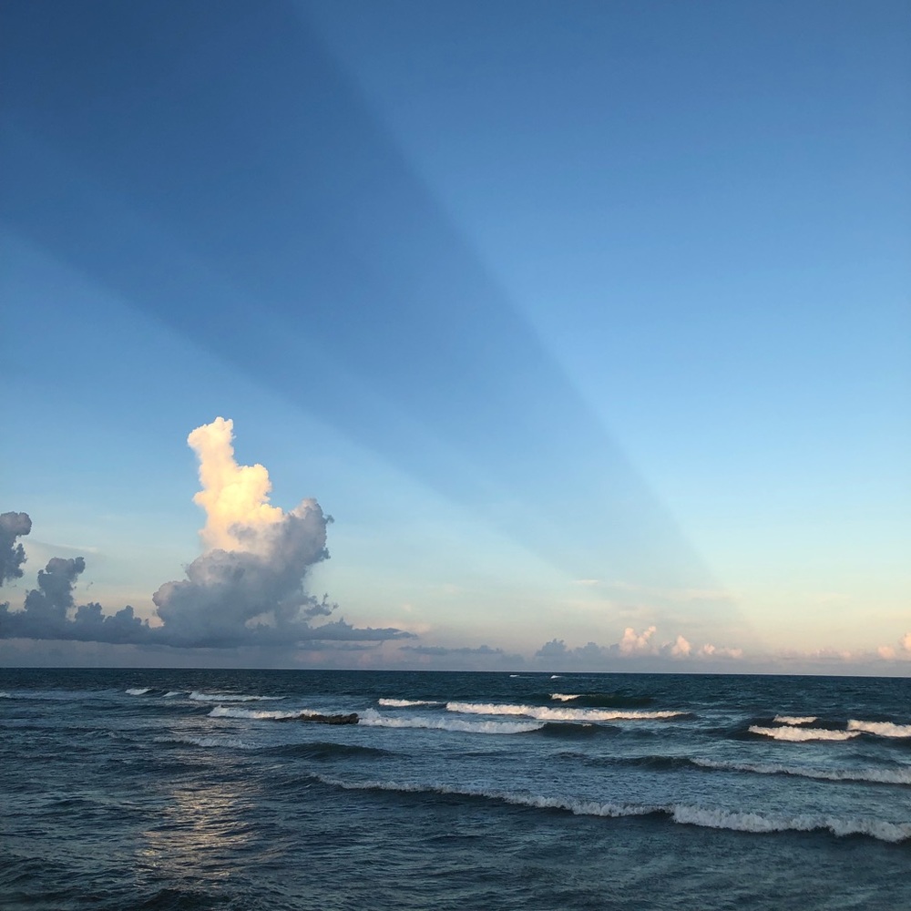 Meet your Posher, Florence